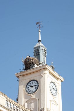 Alcala De Henares, İspanya: Belediye Binası, saat ile bir kule üzerinde leylek yuvası.