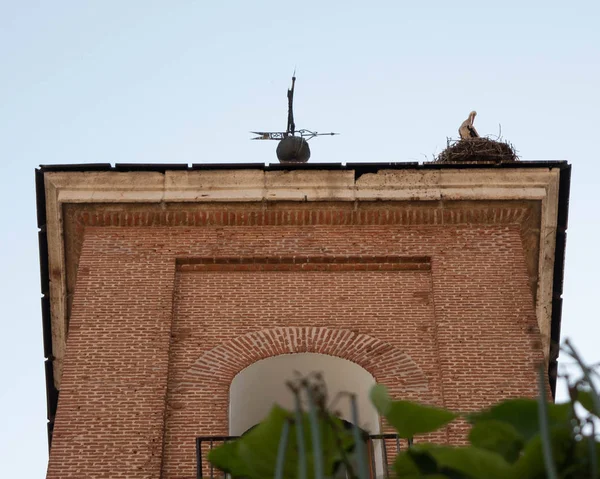 Alcala De Henares, İspanya: Saint Maria kulesinin çatısındaki leylek yuvaları.