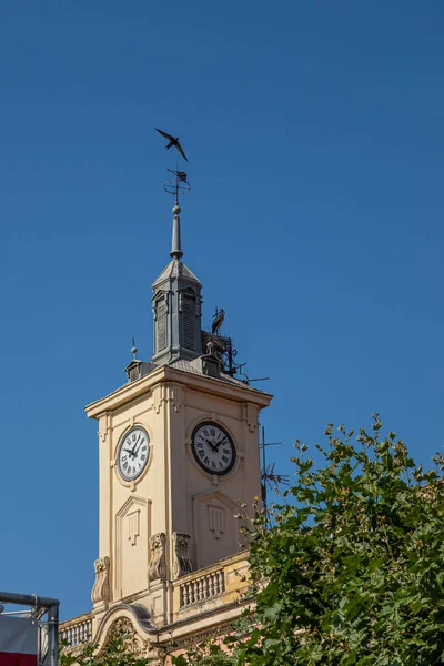 Alcala De Henares, İspanya: Belediye Binası, saat ile bir kule üzerinde leylek yuvası.