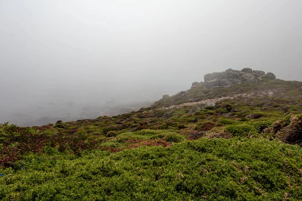 Cabo Viln, Camarias, İspanya: Yarımadanın kayalıklarında bitki örtüsü ve sisle kaplı kıkırdak.