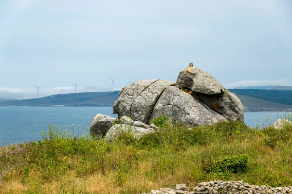 Muxia kasabası yakınlarındaki kayalık bir pelerin üzerinde orijinal şekil taşlar, bazıları ilginç efsaneler var. Ölüm Kıyısı (Costa de Morte), Galiçya, İspanya - 2019.