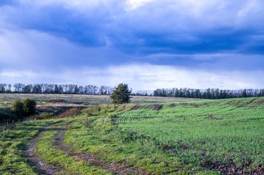 Orta Rus ovasının doğası. Eylül akşamı 2019.