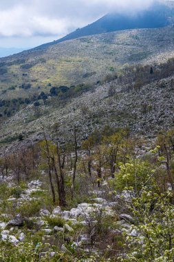 Doğa türleri. Parc Naturel Rgional (Pnr) des Pralpes dazur.