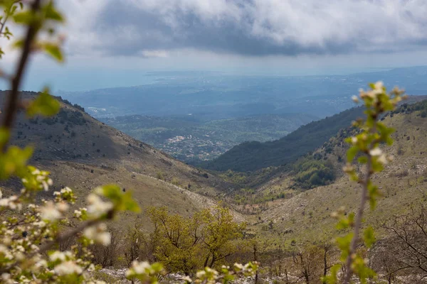 Doğa türleri. Parc Naturel Rgional (Pnr) des Pralpes dazur.