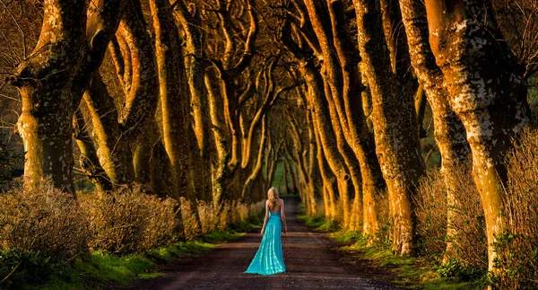 Beautiful Blonde Woman Turquoise Long Dress Walks Away Middle Tree — Stock Photo, Image