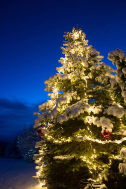 Karla kaplı çam ağacı ile ışık ve kırmızı cam top Noel süsleme, açık.
