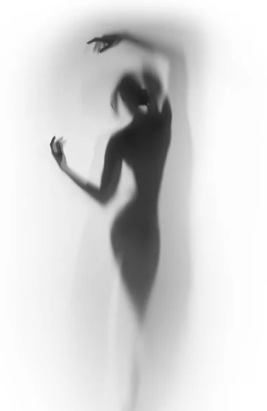 一个美丽和性感的女人身体的漫漫剪影 在窗帘后面 — 图库照片