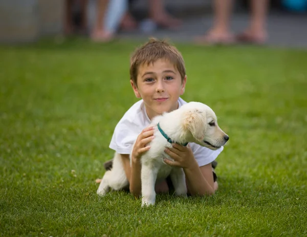 Menino Brinca Com Cachorro Golden Retriever Campo Coberto Grama — Fotografia de Stock