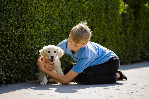 屋外の小さな 非常に若い子犬ゴールデン レトリーバーに若い男の子の愛と抱擁 — ストック写真