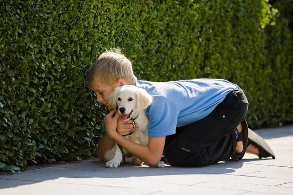 屋外の小さな 非常に若い子犬ゴールデン レトリーバーに若い男の子の愛と抱擁 — ストック写真
