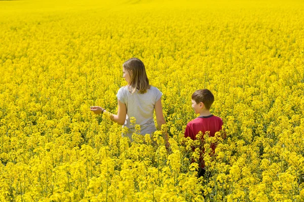 Young Girl Boy Brother Sister Enjoy Nature Walk Yellow Flowery — Stock Photo, Image