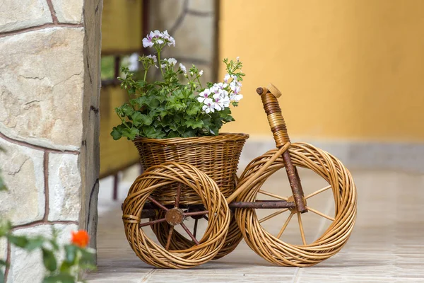 자전거에 정원에서 화분입니다 헝가리입니다 클로즈업 — 스톡 사진