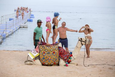 Sharm El-Sheikh, Mısır - 25 Mayıs 2018: Arap adam deve ile birlikte Kızıldeniz, Sharm El Sheikh, Mısır yakınındaki plajda turistlere hizmet sunuyoruz. Kadın bir deveye çocukların fotoğrafları alma