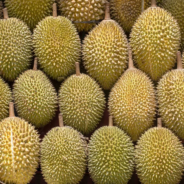 Olgun durian meyve Adası Bali, Ubud, Endonezya, yerel piyasada kapatın. Asya meyve kralı