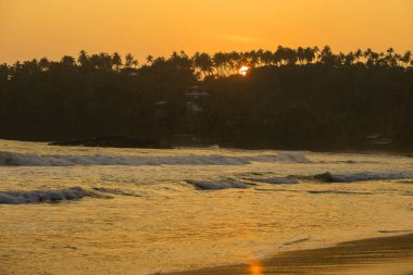Tropikal kum plaj ve deniz dalga su Mirissa, günbatımı, Sri Lanka sırasında
