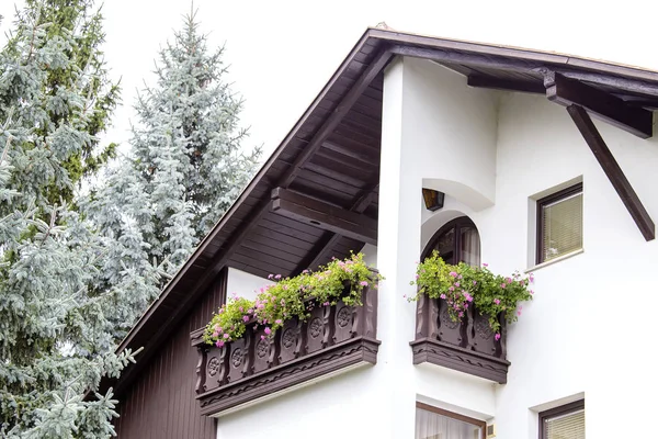 Flowerpots House Plants Balcony Heviz Hungary — Stock Photo, Image