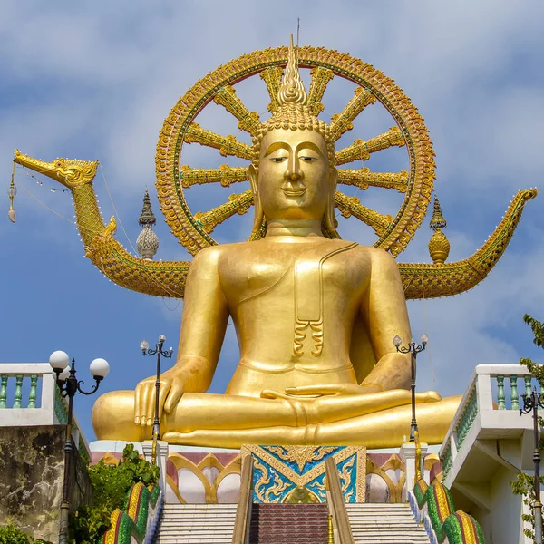 Grande Statue Bouddha Sur Île Koh Samui Thailand — Photo