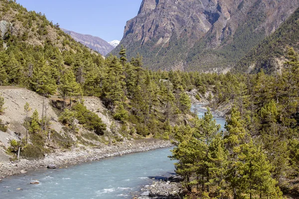 美丽的山景观在喜马拉雅山脉尼泊尔安纳布尔纳地区 尼泊尔夏天的阳光灿烂的日子 蓝河和新鲜的空气 生态旅游 — 图库照片