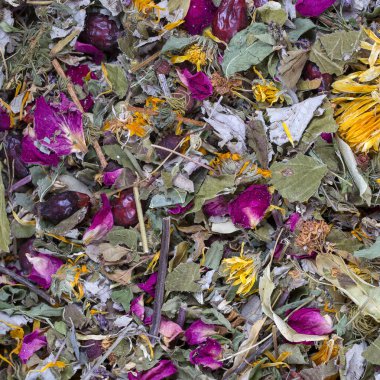 Kadar yakın farklı kuru otlar ve sağlıklı çay arka plan, üstten görünüm, yapmak için çiçekler