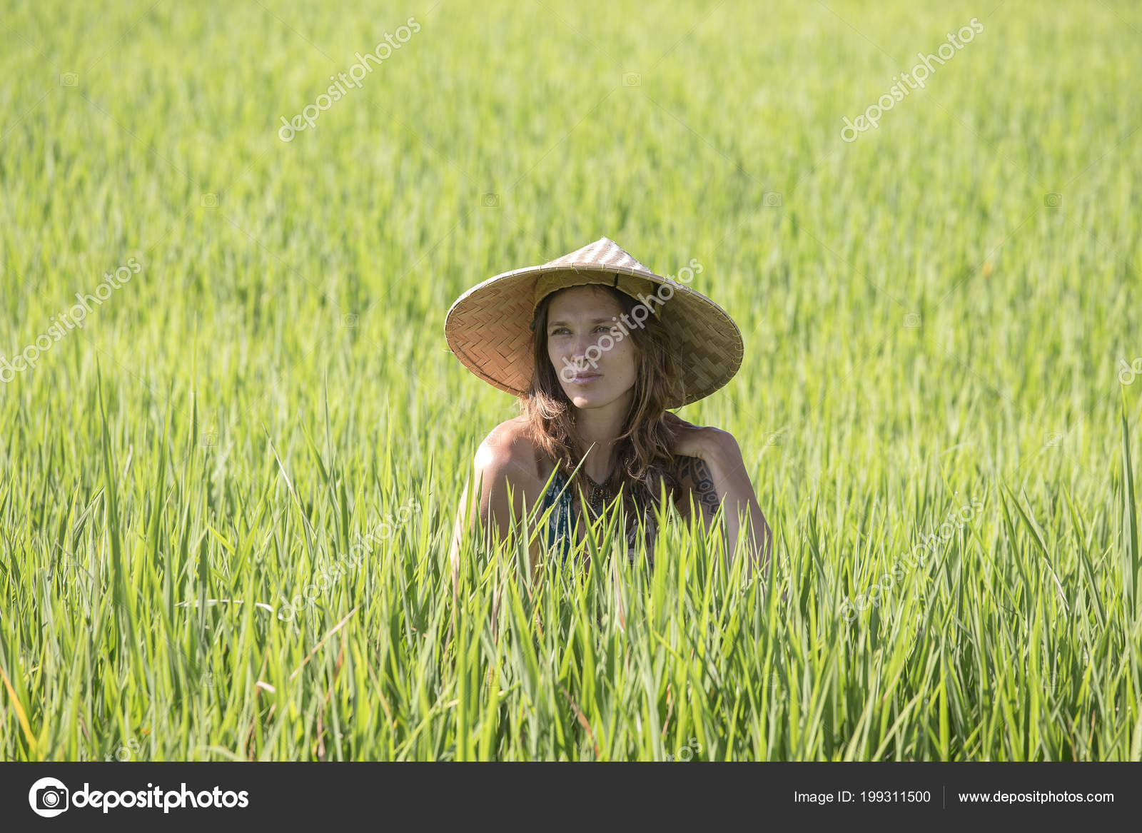 rice field hat