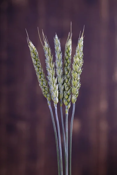 五茎的小麦在一个木质的背景 绿色生小麦小穗 — 图库照片