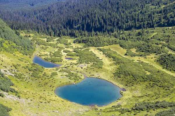 Zelená Jedle Modré Jezero Pozadí Karpat Létě Horní Pohled Dragobrat — Stock fotografie