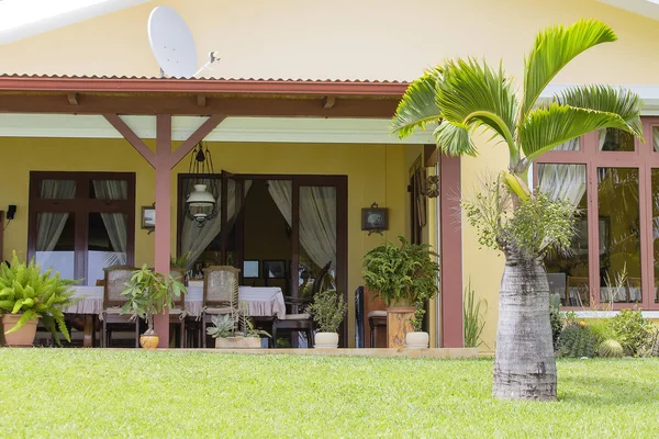 Mesa Cadeiras Palmeira Jardim Verão Gramado Grama Verde Dia Ensolarado — Fotografia de Stock