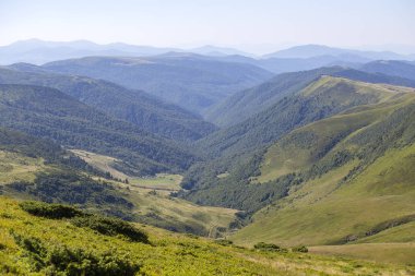 Karpat Dağları yaz güneşli gün, Transcarpathia, Ukrayna