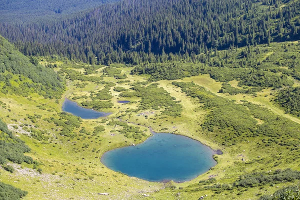 Sapins Verts Lac Bleu Sur Fond Montagnes Des Carpates Été — Photo