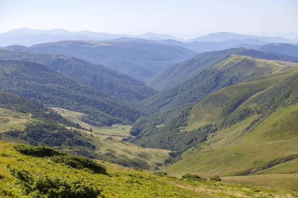 Karpat Dağları yaz güneşli gün, Transcarpathia, Ukrayna