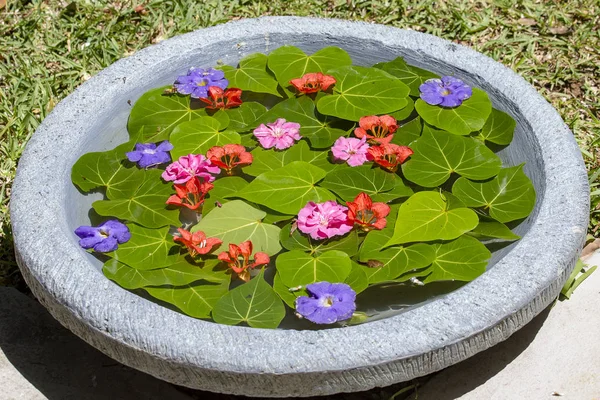 Wazon Jest Wypełniony Wodą Ozdobione Zielonymi Liśćmi Piękne Kwiaty Tropikalnym — Zdjęcie stockowe