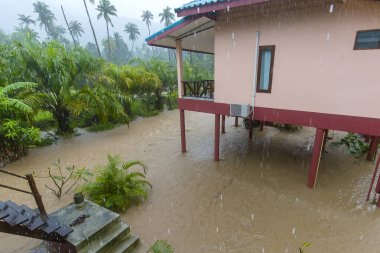 Palmiye ağaçları ve Adası Koh Samui, Tayland evde sular altında sokak