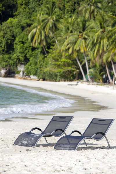 Twee Strand Ligstoelen Het Zand Strand Kokosnoot Palm Bomen Naast — Stockfoto