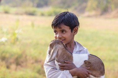 Mandu, Hindistan - 03 Şubat 2017: Goatling ile Caddesi'nde kimliği belirsiz Hint çocuk. Yoksulluk Hindistan önemli bir konudur