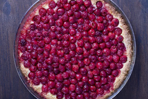 Homemade organic cherry pie dessert ready to eat, close up. Cherry tart. Top view