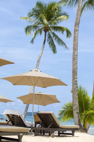 泰国象岛热带沙滩上的沙滩椅 雨伞和椰树 — 图库照片