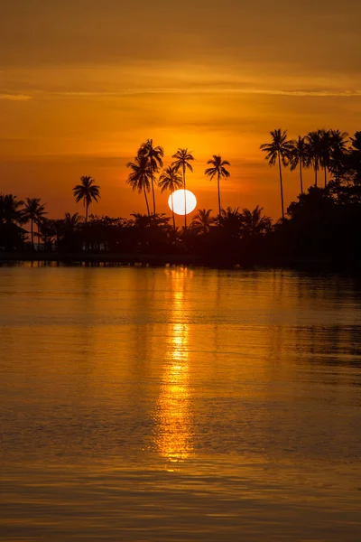 Ηλιοβασίλεμα Στην Παραλία Θαλασσινό Νερό Και Κοκοφοίνικα Παλάμη Δέντρο Σιλουέτα — Φωτογραφία Αρχείου