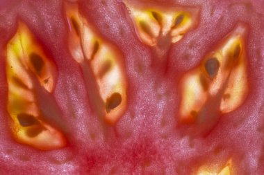 Kırmızı domates dilim arka, üstten görünüm, makroyu oluşturan, kapatmak