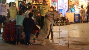 Sharm El-Sheikh, Mısır - 14 Mayıs 2018: Mısır adam gece Sharm El Sheikh, South Sinai, Mısır eski şehir piyasada deveye binmek için turistler davet ediyor