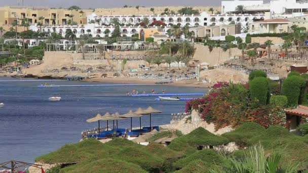 Sharm Sheikh Egyiptom 2018 Május Gyönyörű Szálloda Pálmafákkal Repülőtér Közelében — Stock videók