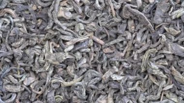 Arka plan yeşil çay yakın. Döngü döndürme. Kameranın ön kısmında döner levha ile yeşil çay, makro
