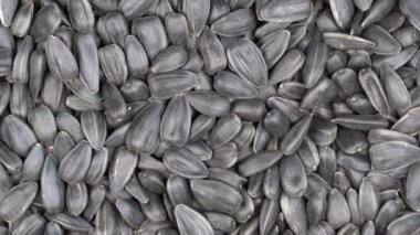 Ayçiçeği çekirdekleri döngü döngüsünü kapatır 4k üst görünümü. Yemek arkaplanı. Gastronomi konsepti, organik gıda. Makro ayçiçeği tohumları
