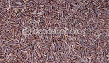 Cilasız kahverengi pirinç arka planını kazık, rotasyon loopable 4 k en iyi görünümü kapatın. Gıda arka plan. Gastronomi kavramı, organik gıda. Makro organik pirinç