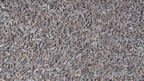 Pile Green Dry Anise Seeds Background Close Rotation Loopable Top — Stock Video