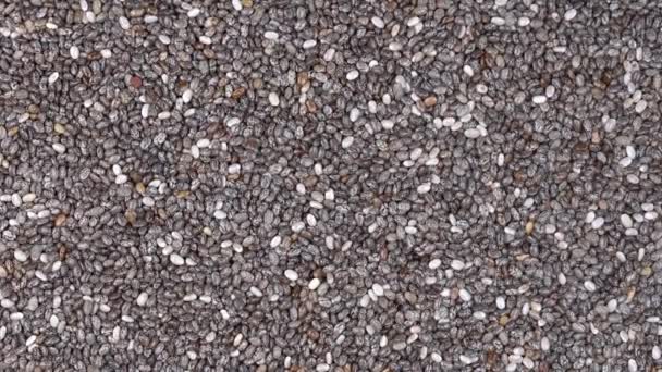 Pile Chia Seeds Background Close Rotation Loopable Top View Food — Stock Video