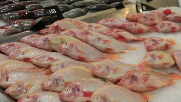 Fresh Fish Shelves Local Supermarket Island Koh Phangan Thailand Close — стоковое видео