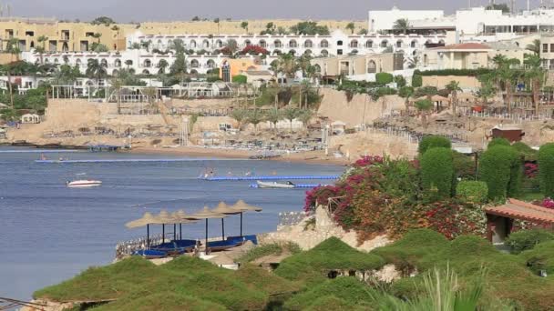 Sharm Sheikh Єгипет Травня 2018 Гарний Готель Пальмами Біля Пляжу — стокове відео