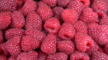 Taze, Olgun, sulu ahududu arka plan, berry, rotasyon loopable 4k üstten görünüm yakından. Gıda arka plan. Gastronomi kavramı, organik gıda. Makro kırmızı ahududu meyve