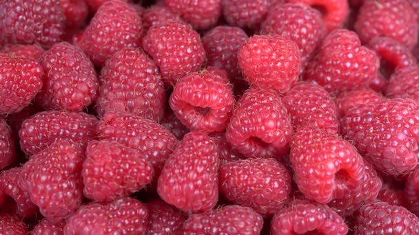 多汁的覆盆子背景 关闭浆果 Loopable 顶部视图 食物背景 美食概念 有机食品 微距红莓果 — 图库视频影像