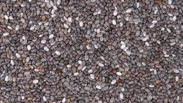 Pile Chia Seeds Background Close Rotation Loopable Top View Food — Stock Video